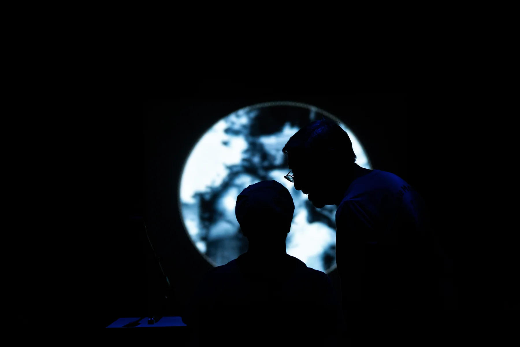 A silhouetted visitor faces a circular projected memory